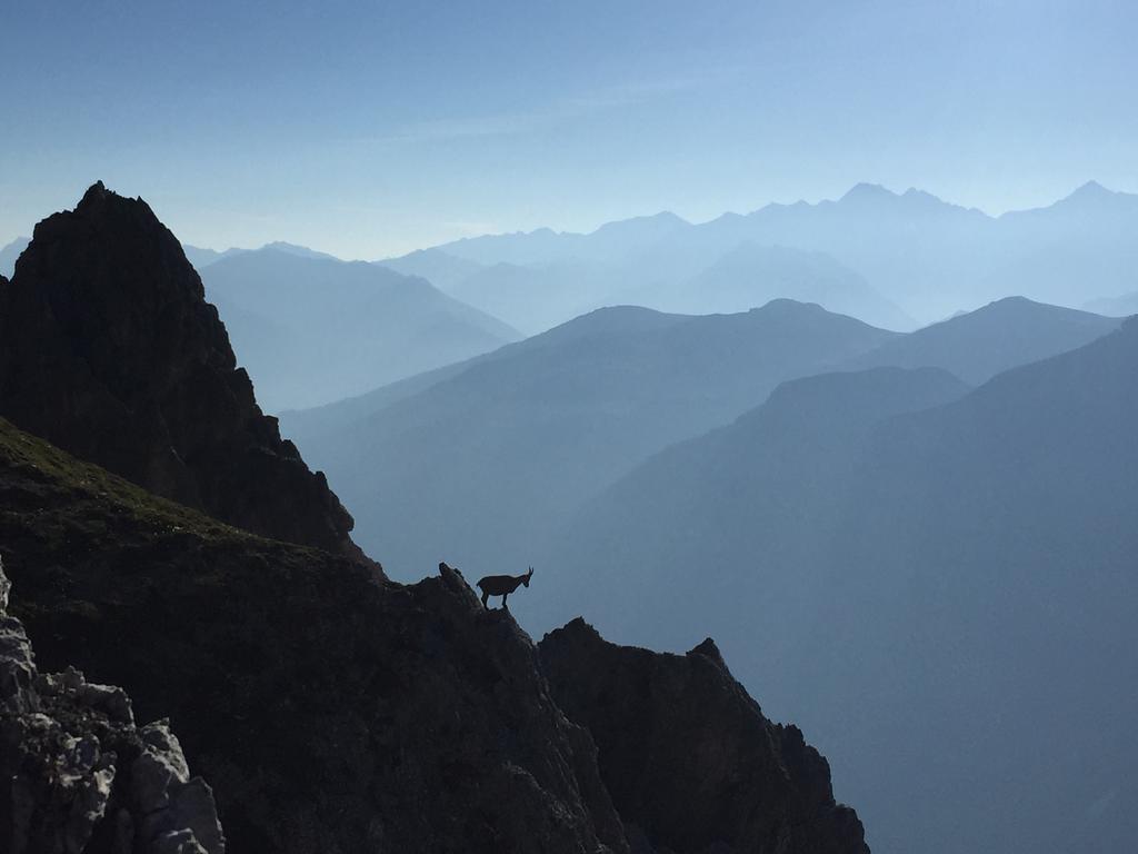 Alpenhaus Monte Ξενοδοχείο Neustift im Stubaital Εξωτερικό φωτογραφία